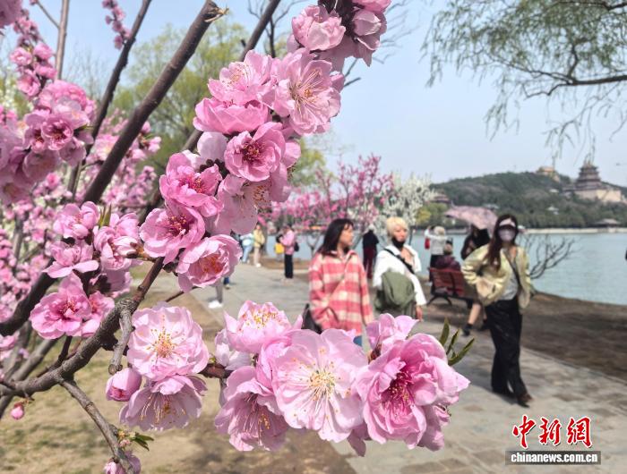 春の花が咲き誇り、たくさんの観光客が訪れた北京市にある頤和園(2025年3月撮影・趙隽)。
