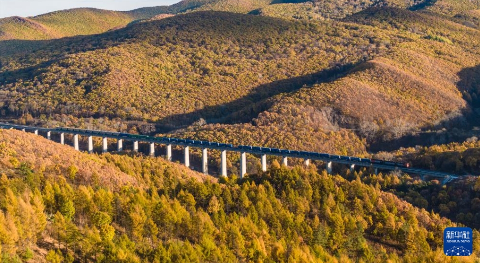 「中欧班列」東ルートの今年の貨物輸入量が2700万トン突破