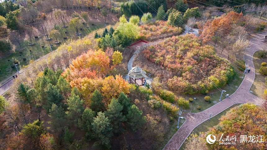 美しい哈爾浜の秋　黒竜江省