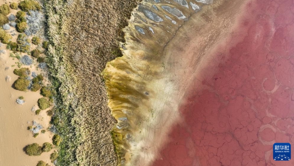 秋を迎えた巴丹吉林砂漠　内蒙古