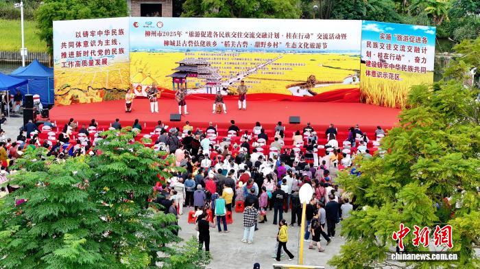 観光客を魅了する風に揺れる稲穂　広西・柳城