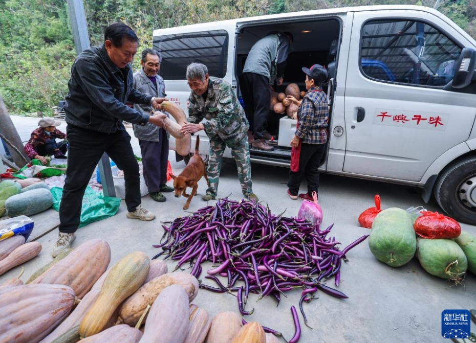 農村部に残された高齢者たちを支援する公益野菜買取プラン　浙江省杭州