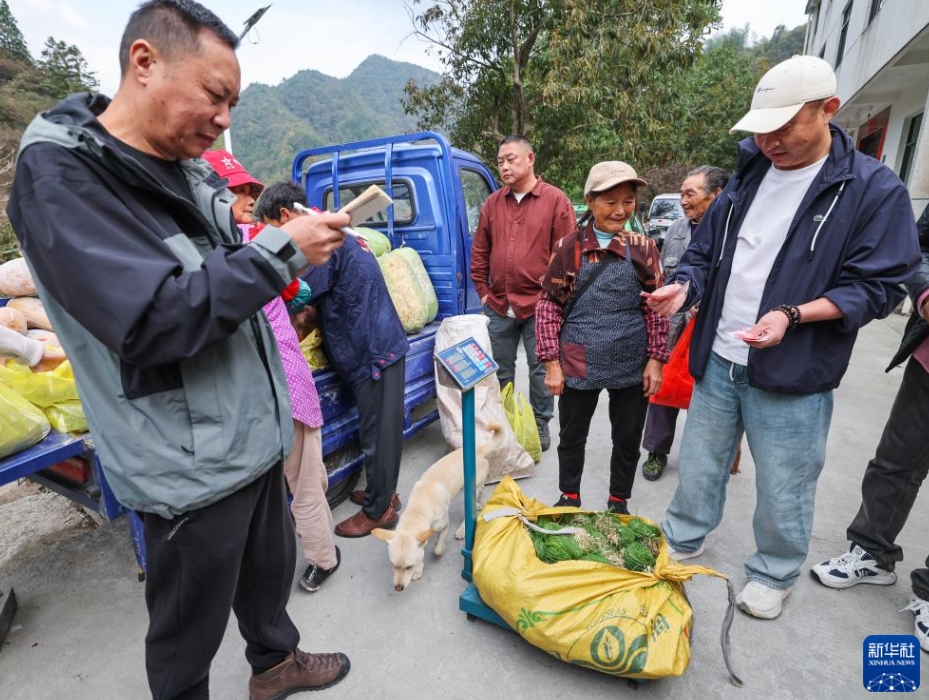 農村部に残された高齢者たちを支援する公益野菜買取プラン　浙江省杭州