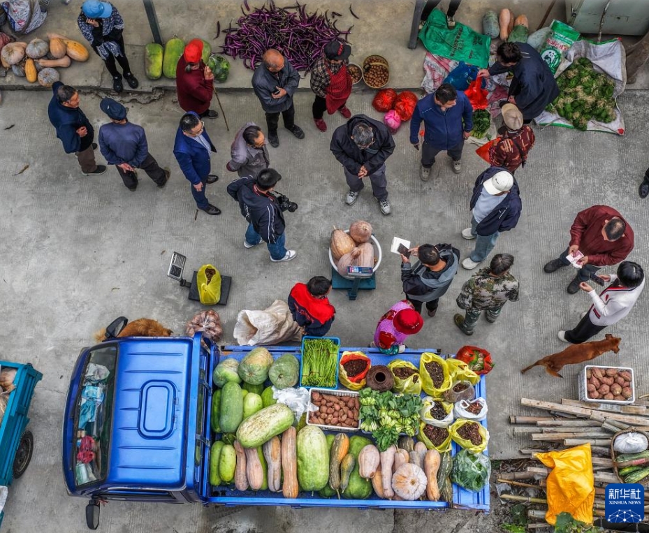 農村部に残された高齢者たちを支援する公益野菜買取プラン　浙江省杭州