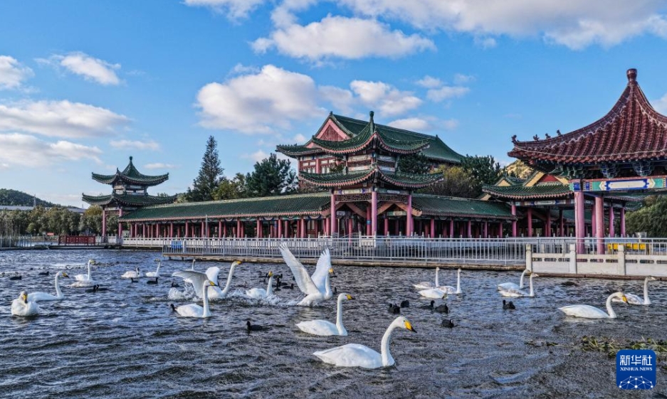 中国各地、華やぎを増す秋景色