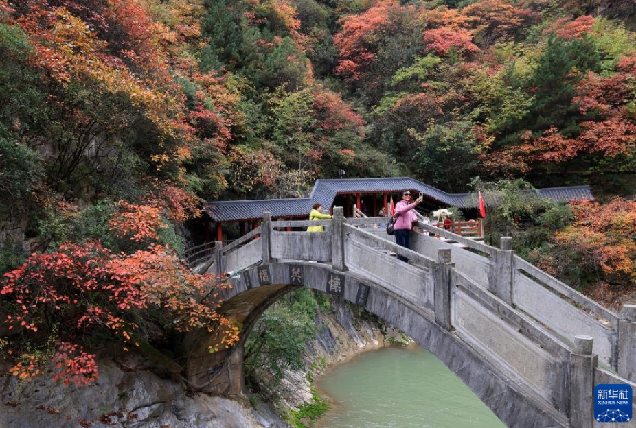 中国各地、華やぎを増す秋景色