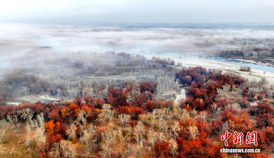 額爾斉斯河の北屯区間に生じた朝霧が織りなす幻想的な風景　新疆