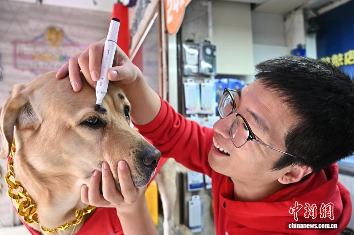 イヌの「店長」は集客の才能あり！？　山西省太原