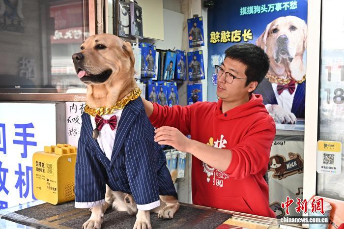 イヌの「店長」は集客の才能あり！？　山西省太原
