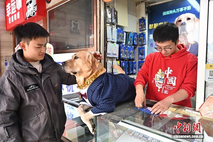 イヌの「店長」は集客の才能あり！？　山西省太原