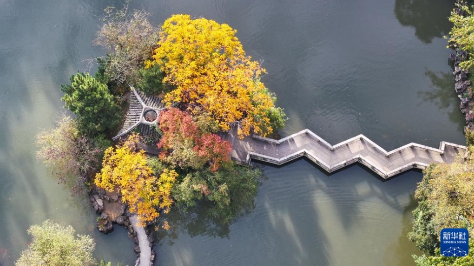 ドローンがとらえた初冬の美しい景色