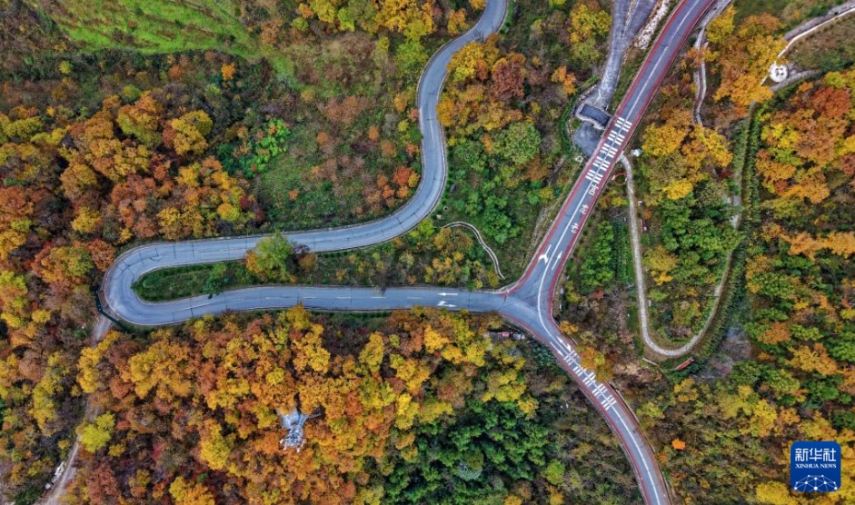 ドローンがとらえた初冬の美しい景色