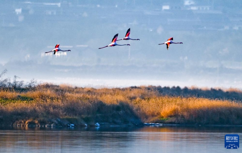 「冬のビューティーモード」中国各地に広がる初冬の絶景