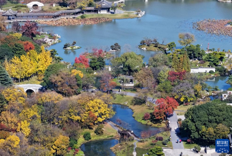 「冬のビューティーモード」中国各地に広がる初冬の絶景