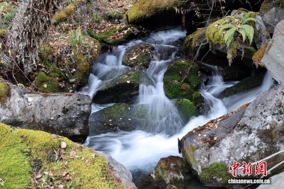 絵のように美しい松坪溝の冬景色　四川省茂県