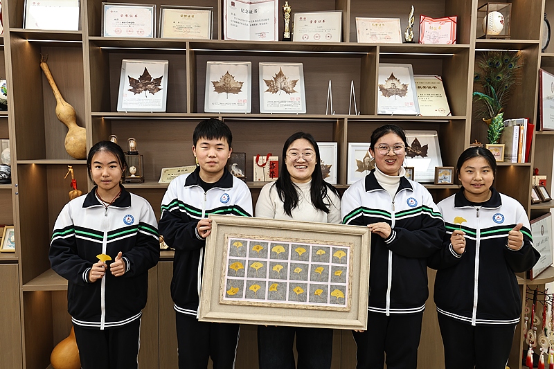 美術教師が落ち葉に彫刻、千年銀杏の葉に新たな息吹　山東省日照市