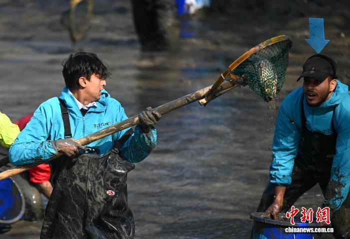 泥まみれで魚を捕まえる西渓湿地の「干塘節」開催　浙江省杭州