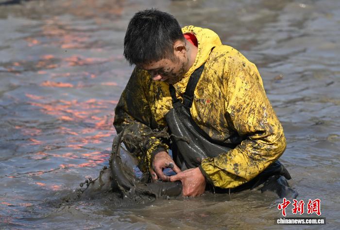 泥まみれで魚を捕まえる西渓湿地の「干塘節」開催　浙江省杭州