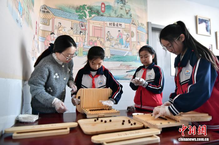 学校教育で学ぶ中医薬文化　河北省安国