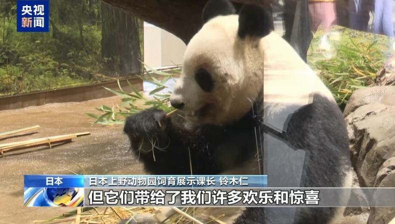パンダの来月返還受け、上野動物園に別れ惜しむ来園者が殺到                    中国と日本の間で締結されている協定の期限を迎えるため、東京上野動物園で飼育されているジャイアントパンダの「暁暁(シャオシャオ)」と「蕾蕾(レイレイ)」が2026年1月に中国に返還されることがこのほど明らかにされた。詳細>