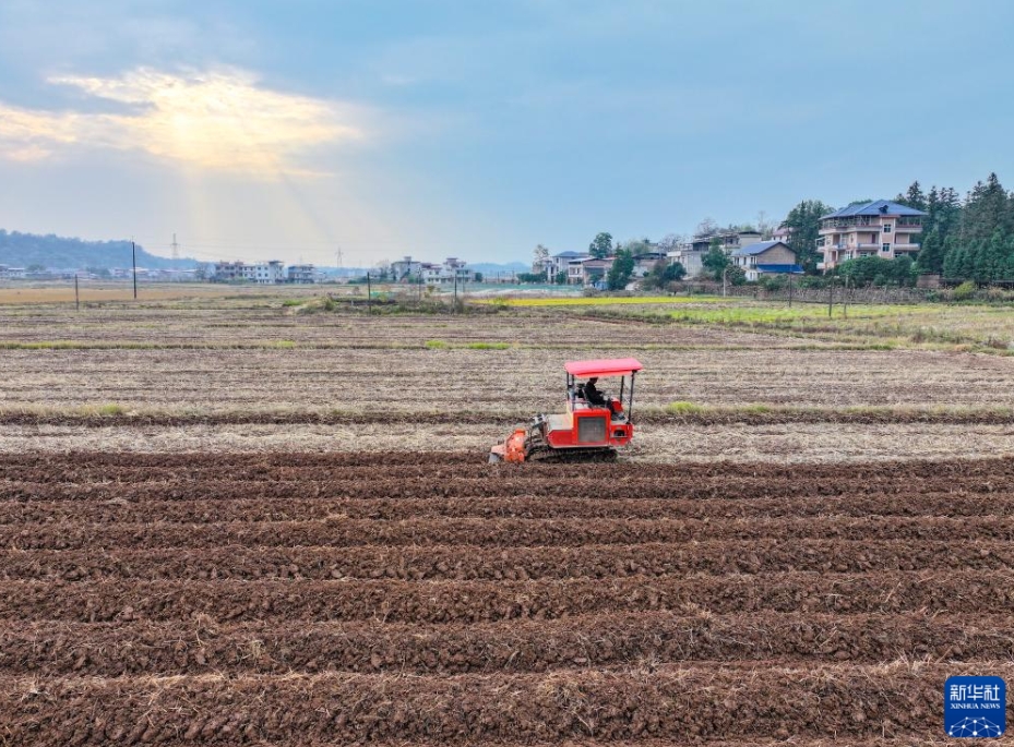 中国各地の冬の農作業風景