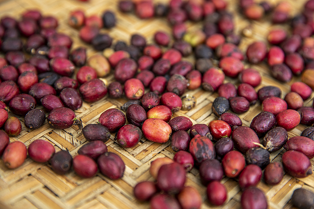 資料写真（画像著作権はCFP視覚中国所有のため転載禁止）