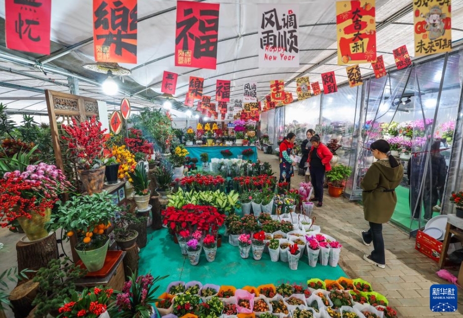 販売ピークを迎えた新年を彩る花々　浙江省紹興