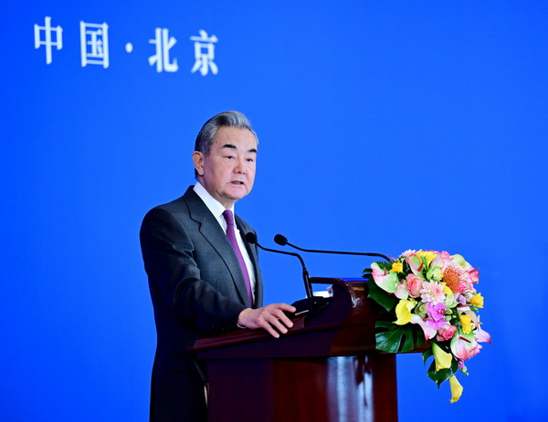 王毅氏「第二次世界大戦の勝利の成果を断固として守らねばならない」