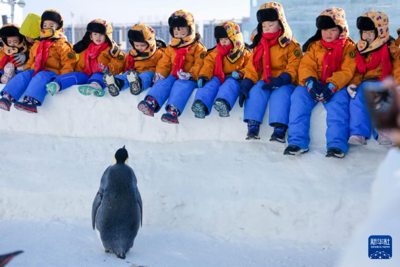 広西の幼稚園児たちが東北エリアで氷と雪を満喫