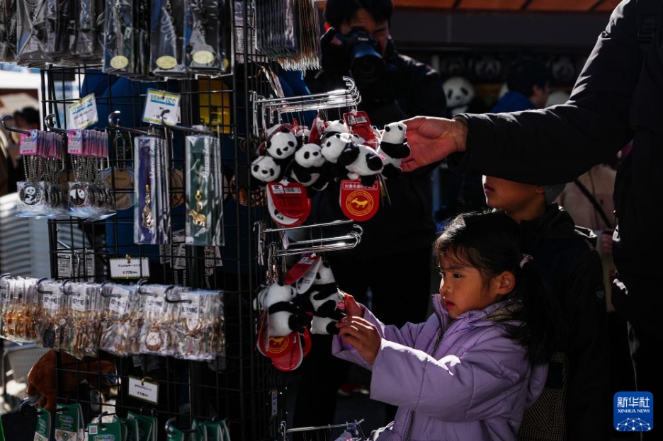 日本で飼育中のパンダが最終観覧日　27日に中国返還へ