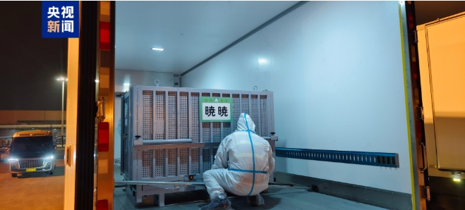 パンダの「暁暁」と「蕾蕾」が無事中国に到着