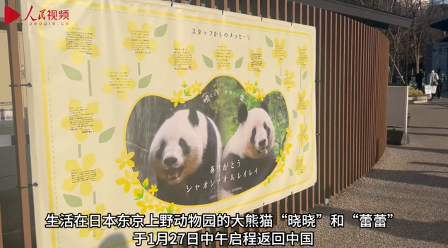 中国返還のパンダ「暁暁」と「蕾蕾」が上野から出発　ファンが集まる