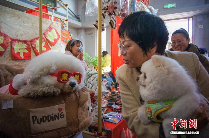 天津で年越しペット用品フェスティバル