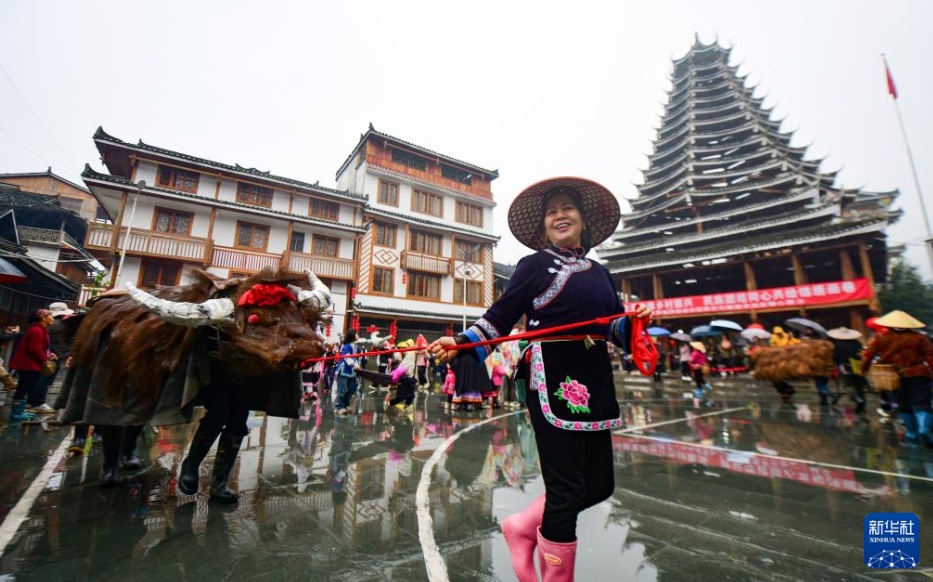 立春にあたる2月4日、広西壮（チワン）族自治区桂林市竜勝各族自治県平等鎮広南村の鼓楼前で、牛の人形をムチで叩いて砕き、天候に恵まれた1年や豊作を祈る「鬧春牛（春牛を賑やかに祝う）」を行う村民たち（撮影・潘志祥）。