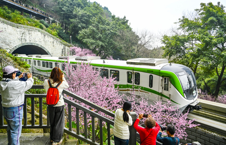 重慶軌道交通2号線の仏図関区間で写真を撮影する市民や観光客(2月23日撮影・斉嵐森)。