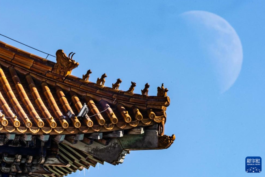 夜空に現れた今年最大の「上弦の月」