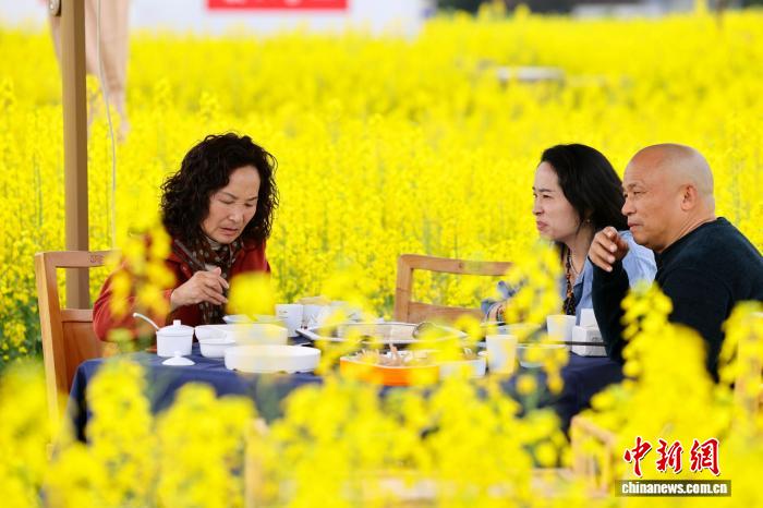今年も人気を集める「菜の花畑で火鍋」　四川省成都市
