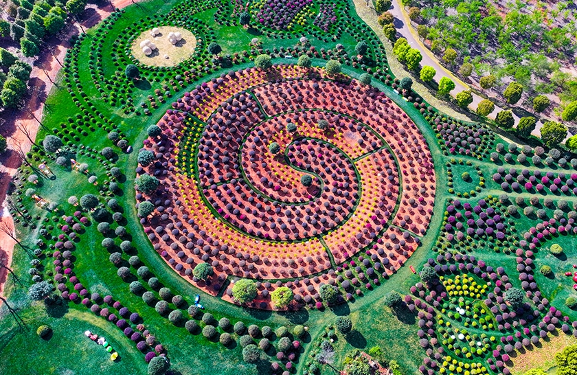 球状の植物が並ぶユニークで可愛い「球球園」　雲南省弥勒