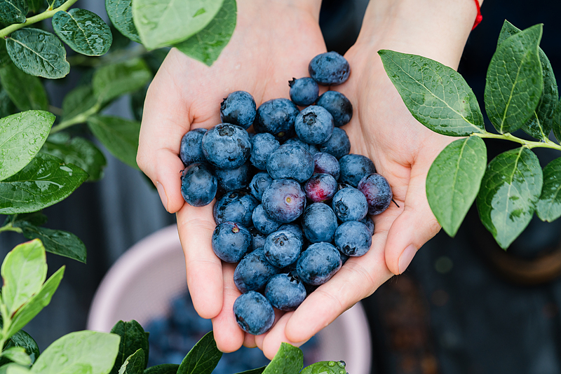（写真著作権は視覚中国が所有のため転載禁止）