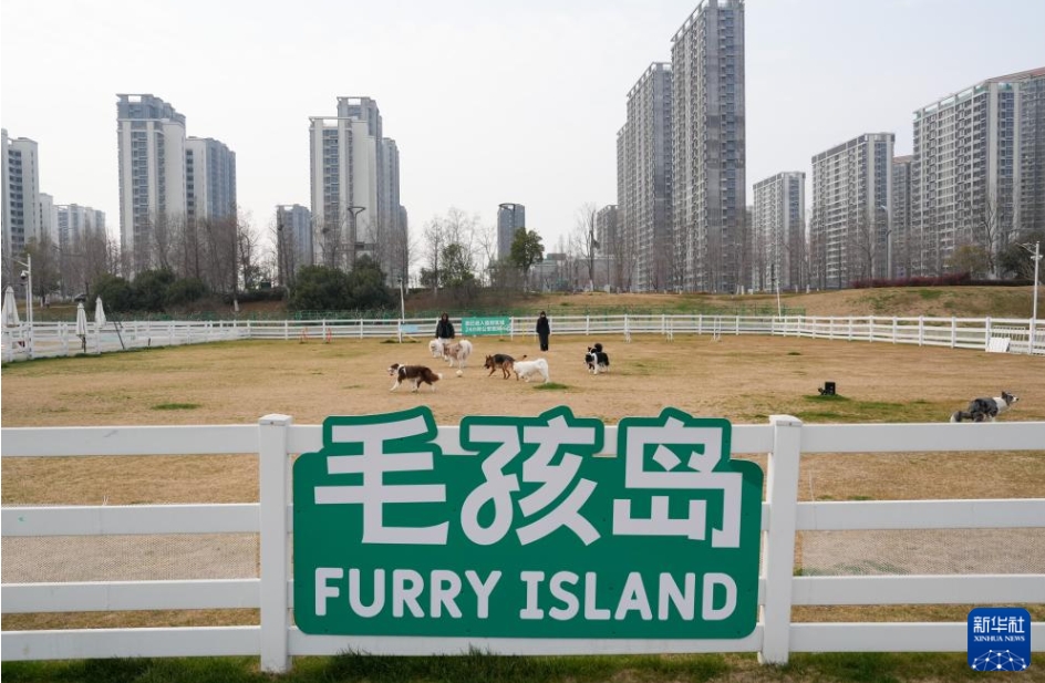 都市生活圏に浸透する「ペットフレンドリー」、産業新生態を活性化　江蘇省