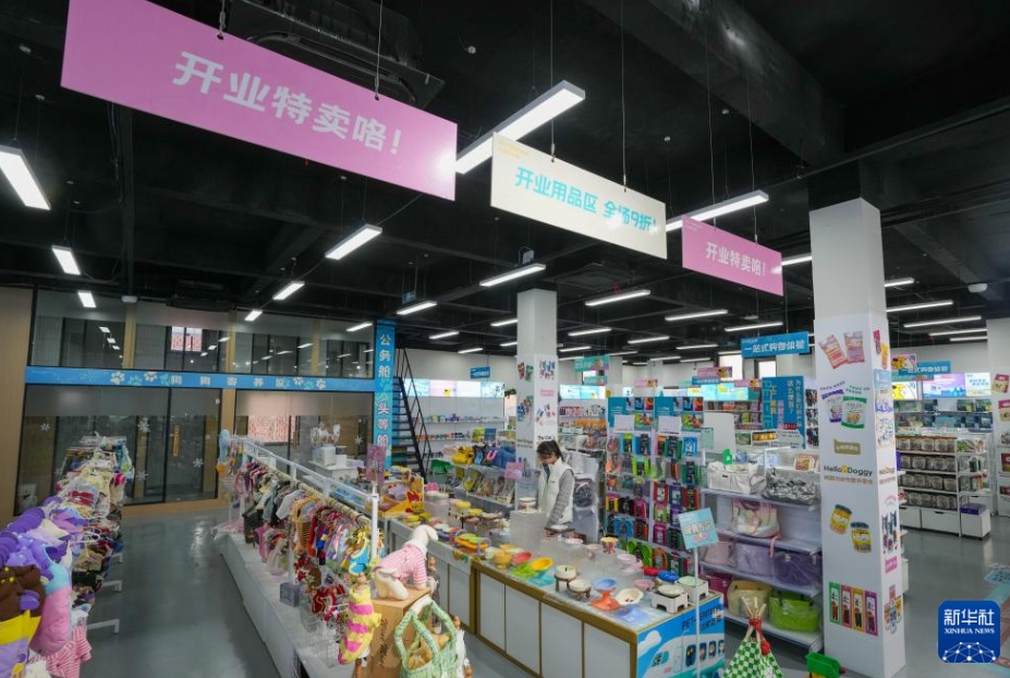 都市生活圏に浸透する「ペットフレンドリー」、産業新生態を活性化　江蘇省