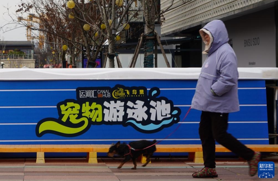 都市生活圏に浸透する「ペットフレンドリー」、産業新生態を活性化　江蘇省