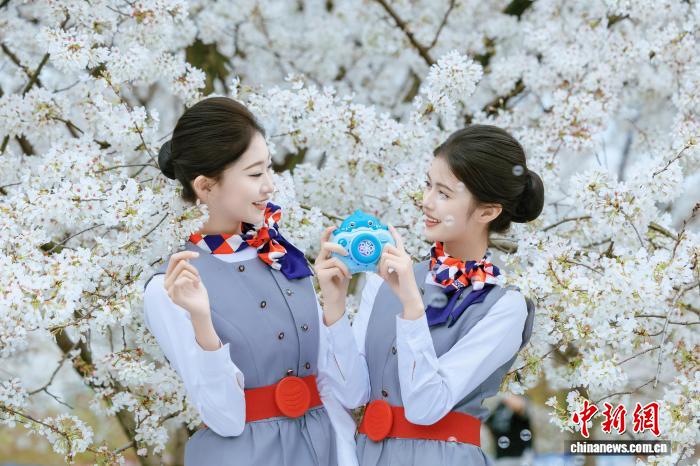 花見を楽しむ学生たち（写真提供・四川西南航空職業学院）。