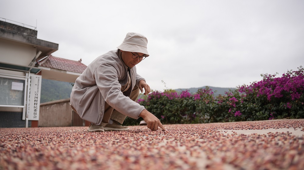 赤トウモロコシを使って絵を描く寧さん（写真提供・鎮沅県メディアコンバージェンスセンター）。