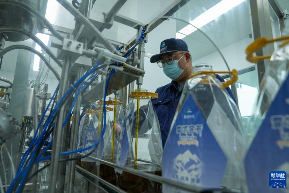 生態優位性＋技術革新で農民を増収に導く西蔵・山南