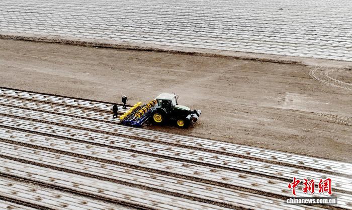 本格スタート迎えた綿の種蒔き作業　新疆・莎車県