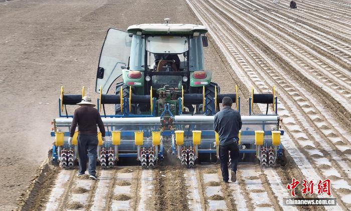 本格スタート迎えた綿の種蒔き作業　新疆・莎車県