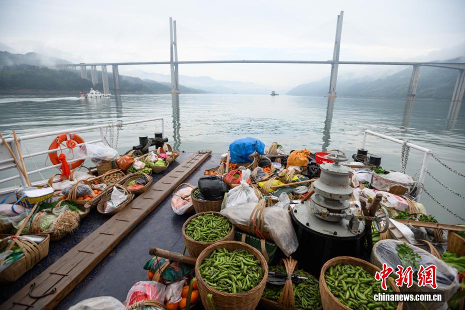 ネットで人気の「カゴを背負って長江を渡る」新しい船が運航開始　重慶市