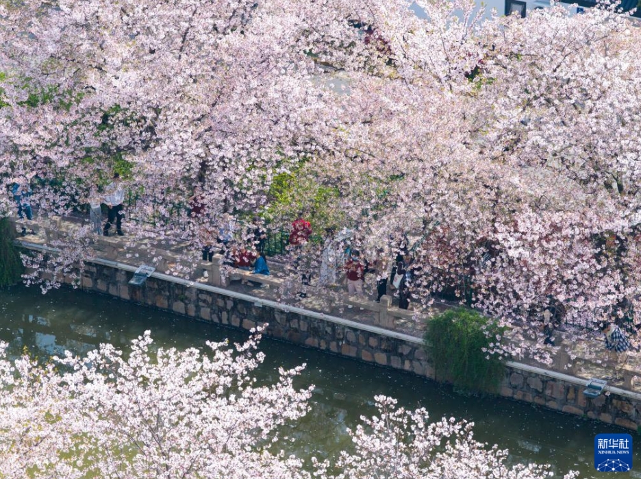 清明節3連休が「春の経済」に新たな活力