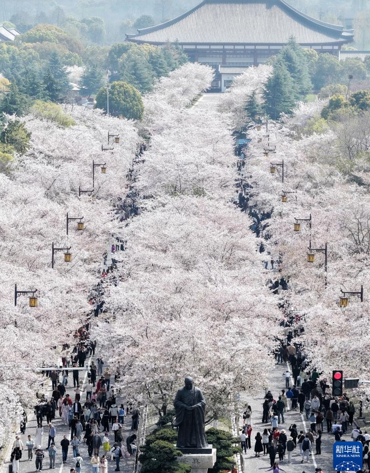 清明節3連休が「春の経済」に新たな活力